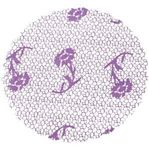 FUNDO TRANSP. DEC. Nº7 C/100 - RENDA LILAS