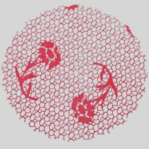 FUNDO TRANSP. DEC. Nº9 C/100 - RENDA VERMELHA