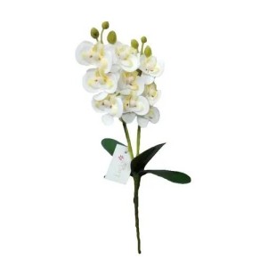BOTAO ORQUIDEA DENDROBIUM X5 BRANCO 32CM D&A