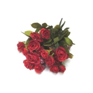 BOTAO ROSA MINI X15 VERMELHO 23CM D&A