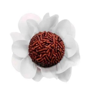 FORMINHA NEW STYLE BRANCO  COLOR CONCEPTS