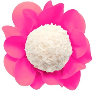 FORMINHA NEW STYLE PINK COLOR CONCEPTS