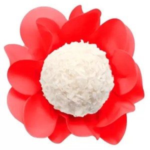 FORMINHA NEW STYLE VERMELHO  COLOR CONCEPTS