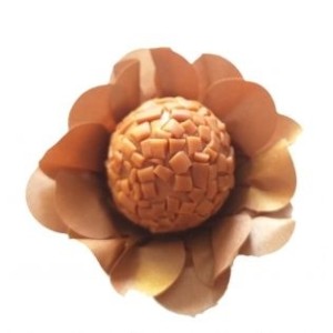 FORMINHA NEW STYLE OURO COLOR CONCEPTS