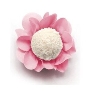 FORMINHA NEW STYLE ROSA CHANEL COLOR CONCEPTS