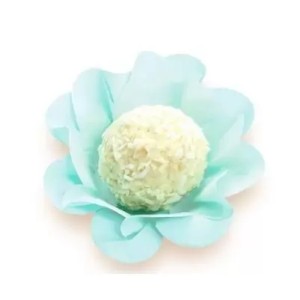 FORMINHA NEW STYLE VERDE ACQUA COLOR CONCEPTS