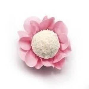 FORMINHA NEW STYLE ROSA AQUA  COLORCONCEPTS