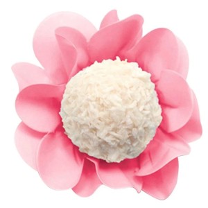 FORMINHA NEW STYLE ROSA BEBE COLOR CONCEPTS