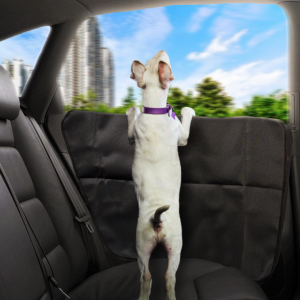 CAPA PROTETORA DE PORTA PET C/ 2 UND