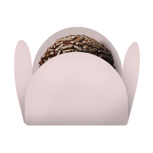 FORMINHA LISA ROSA BEBE C/50 KID ART